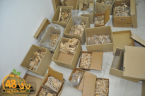 اليوم: الذكرى الثامنة لانتهاك حرمة المقبرة المملوكية في حي البلدة القديمة بيافا